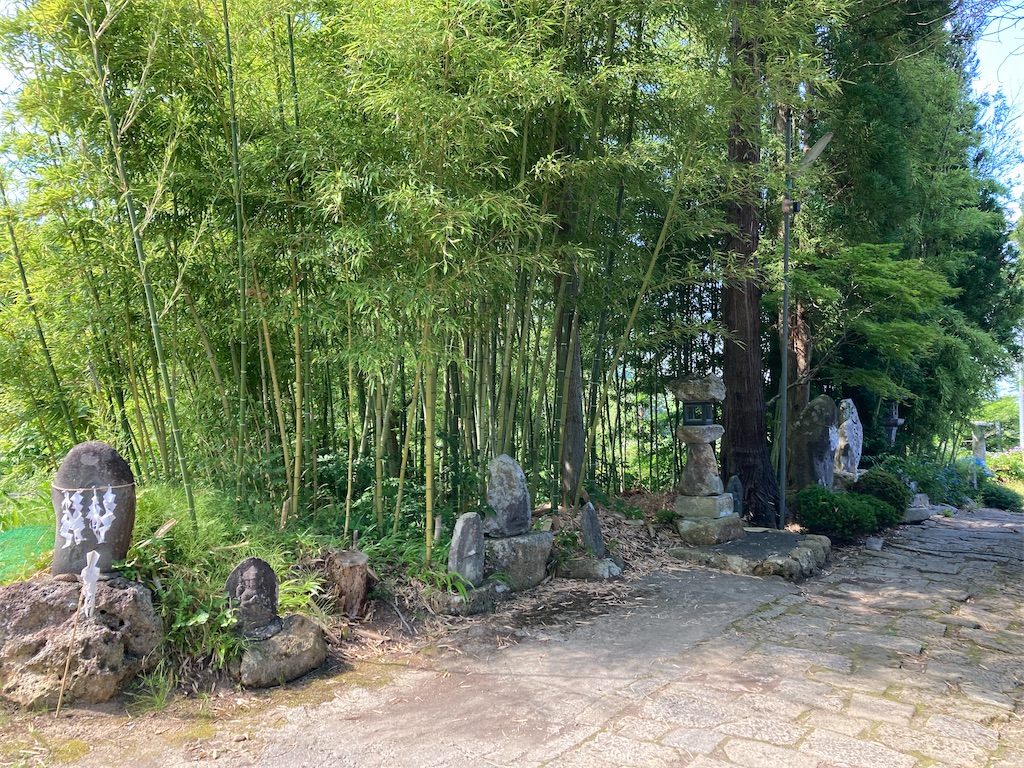 f:id:ryu14950:20220710212140j:image