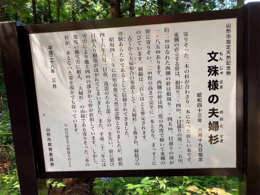 f:id:ryu14950:20220716221703j:image