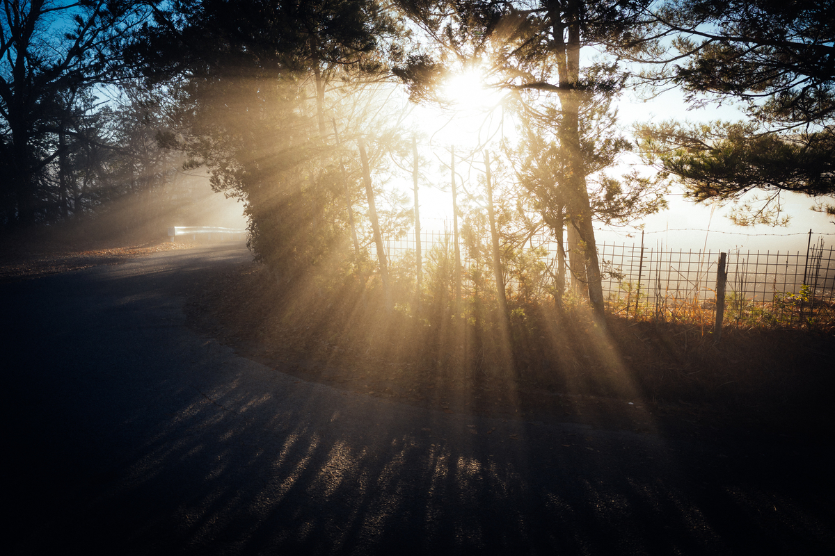 f:id:ryu2net:20191229080946j:plain f:id:ryu2net:20191229080946j:plain