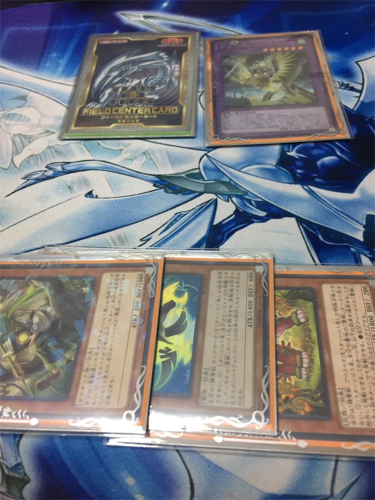 純霊獣デッキ！ - BHMの遊戯王ブログ