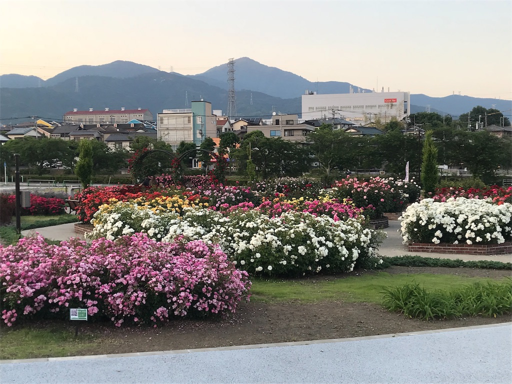 f:id:ryu6crohn:20190525203643j:image f:id:ryu6crohn:20190525203643j:image