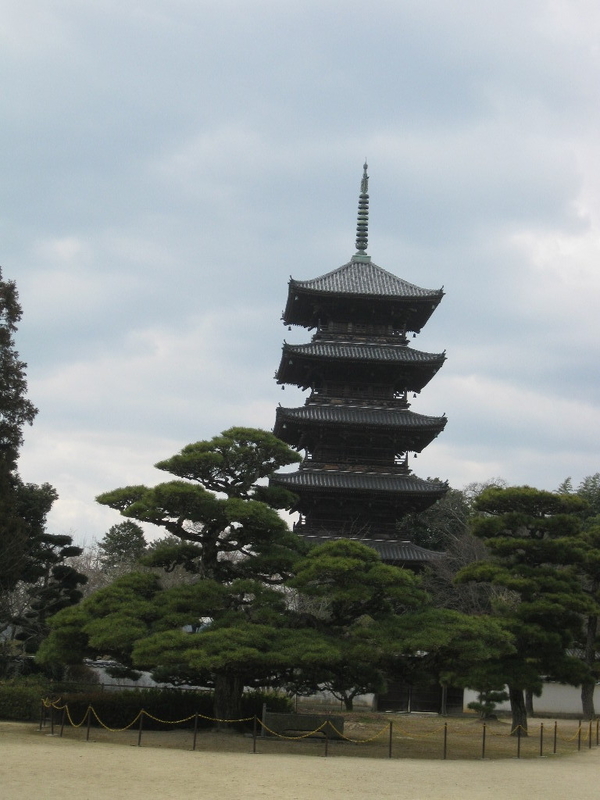 イメージ 8
