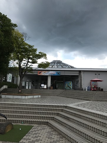 イメージ 2
