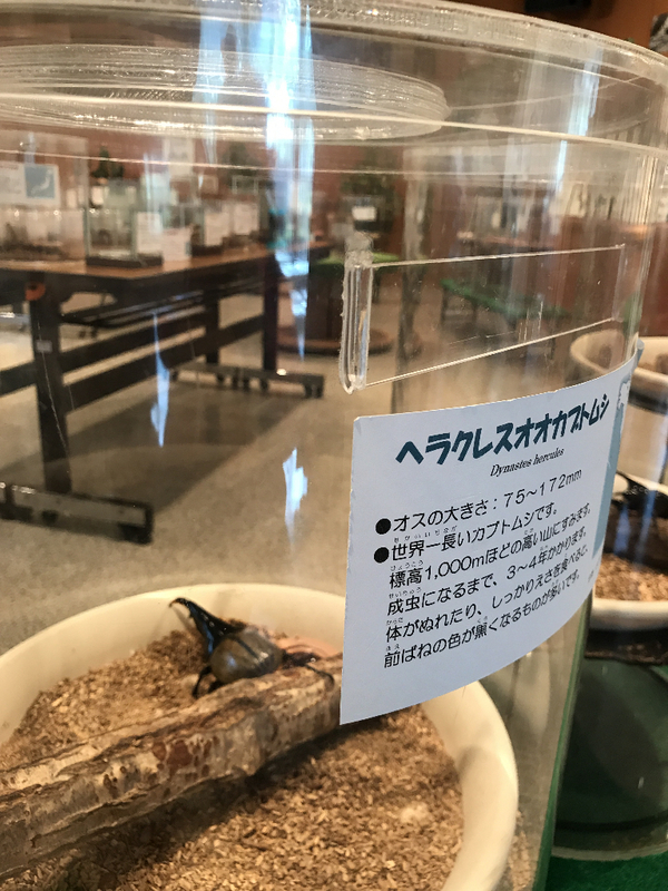 イメージ 9