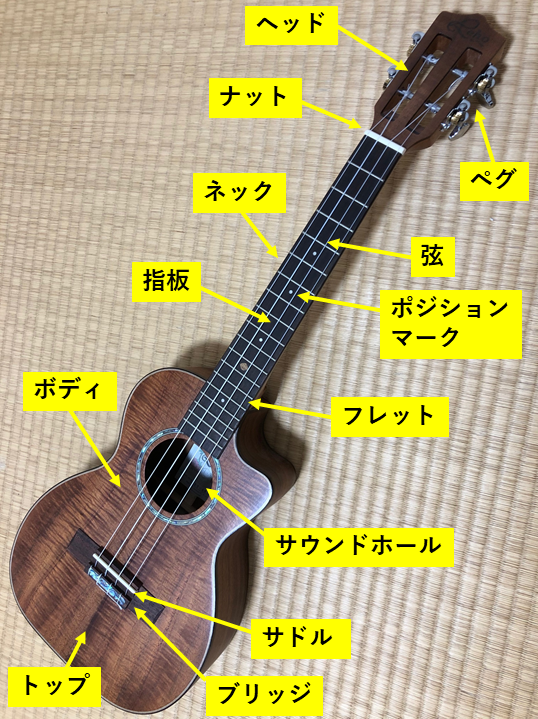 ウクレレ 弾き方 各部名称