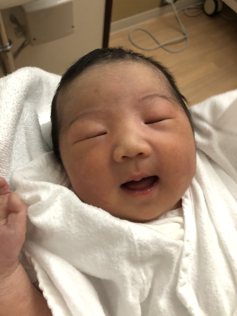 f:id:ryu_turizuki:20191201015635j:plain