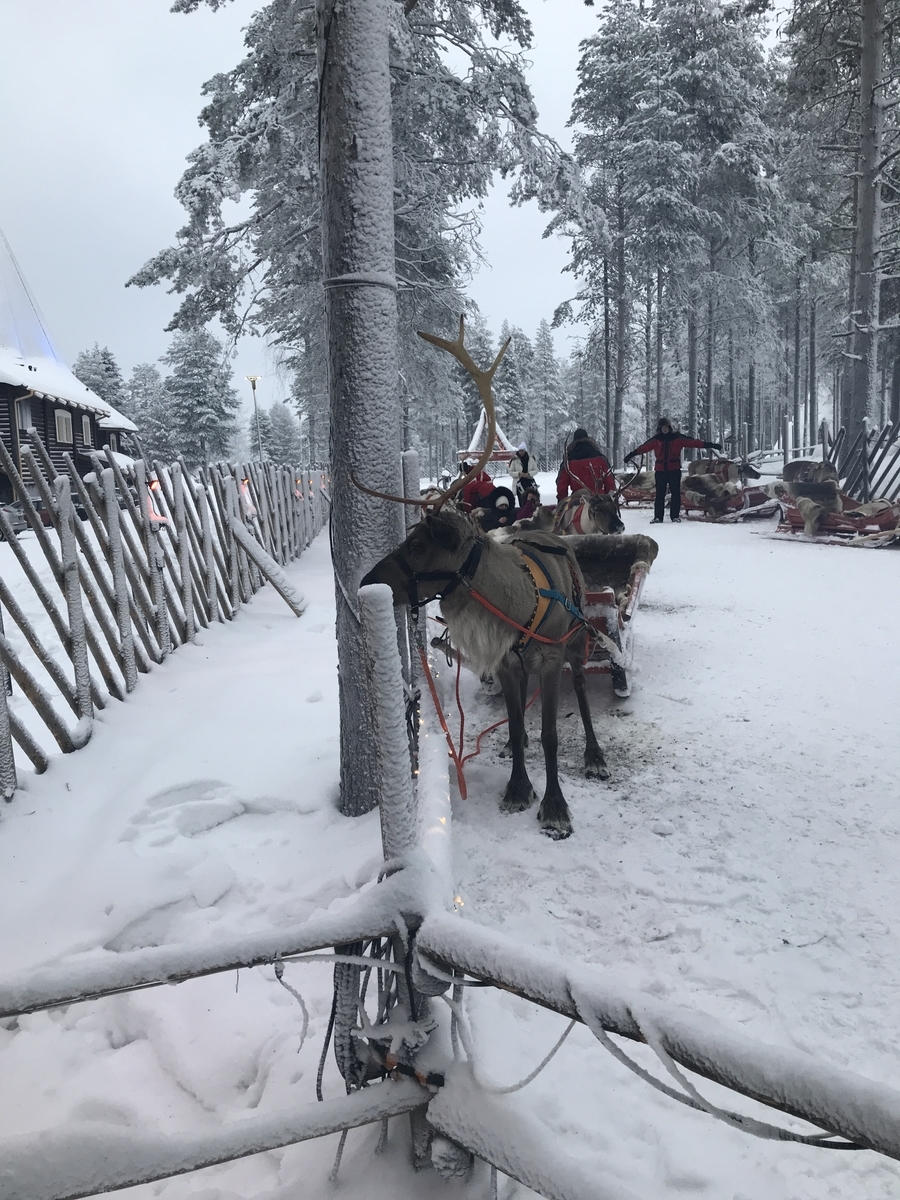 f:id:ryugaku_finland:20200213161043j:plain f:id:ryugaku_finland:20200213161043j:plain