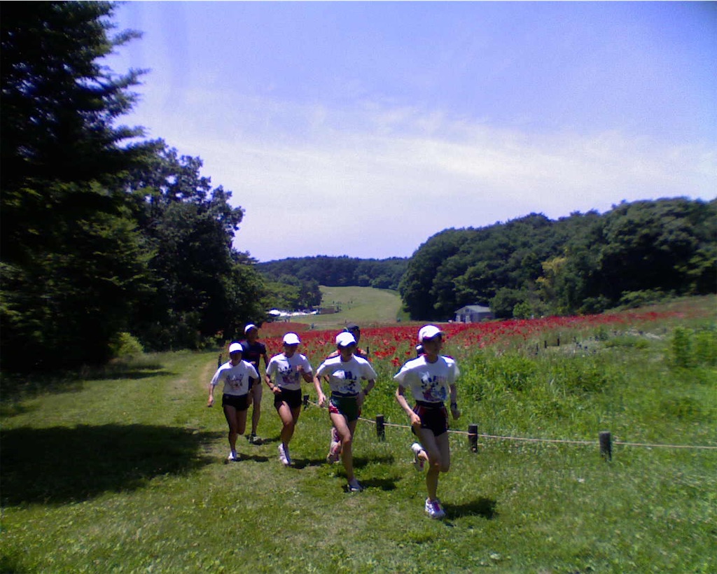f:id:ryugarun:20200813185251j:image