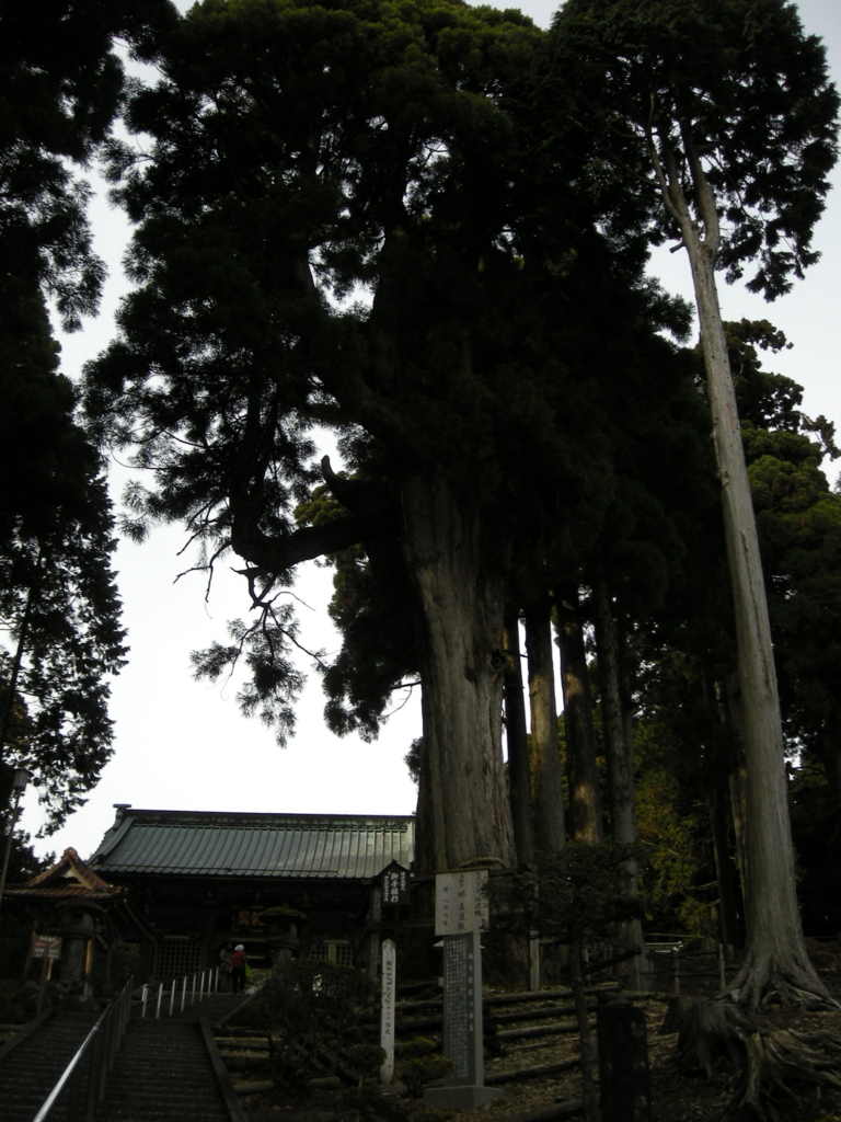 f:id:ryugesengyo:20161215023251j:plain