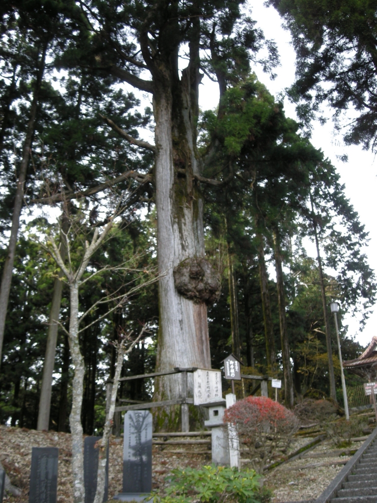 f:id:ryugesengyo:20161215023351j:plain