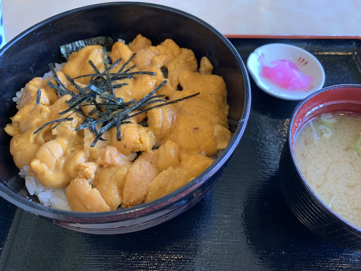 f:id:ryuiso2:20200226231317j:plain