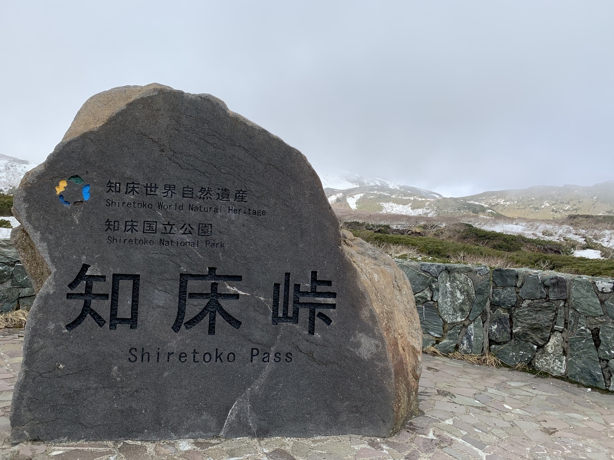 f:id:ryuiso2:20200226231330j:plain