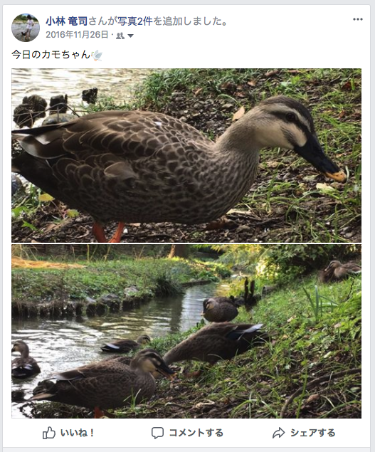 f:id:ryuji_026:20180127173623p:plain