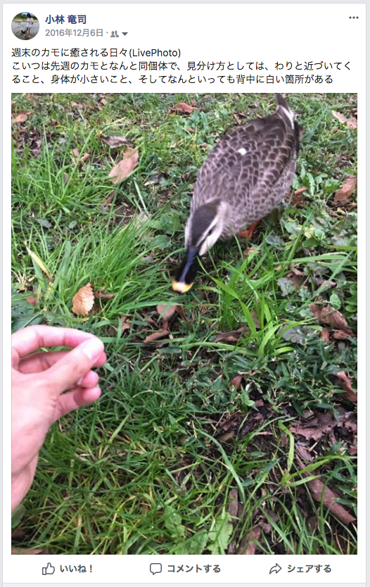 f:id:ryuji_026:20180127173633p:plain