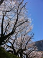 20120407231918