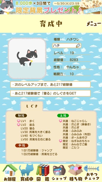 f:id:ryukak:20170524162434j:image f:id:ryukak:20170524162434j:image