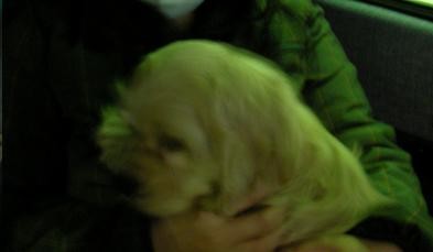 f:id:ryukishogun:20070318221833j:image