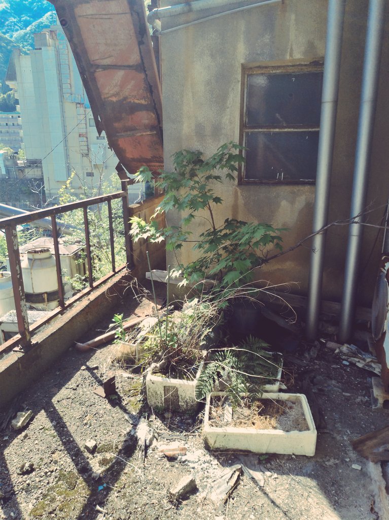 f:id:ryukotsu:20190831225013j:plain f:id:ryukotsu:20190831225013j:plain
