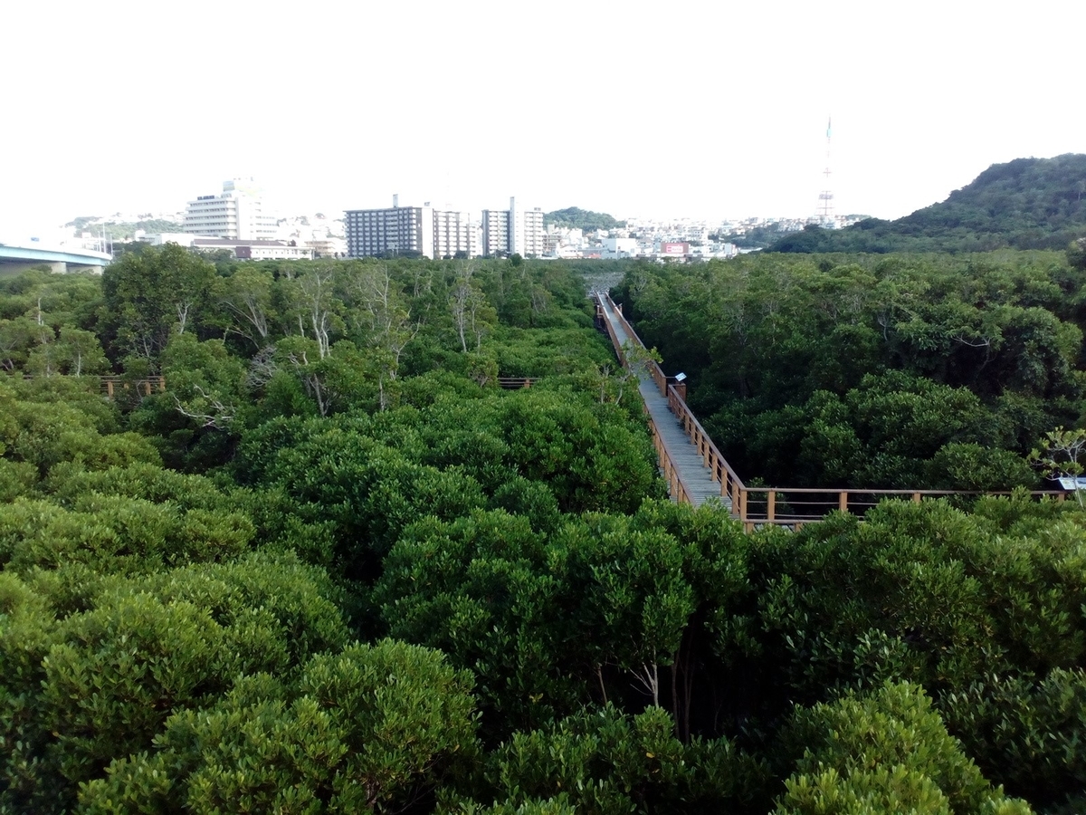 f:id:ryukyufun:20200523004652j:plain