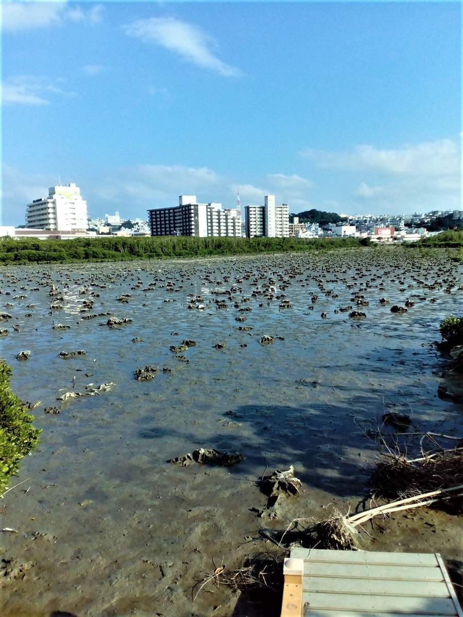 f:id:ryukyufun:20200523005020j:plain