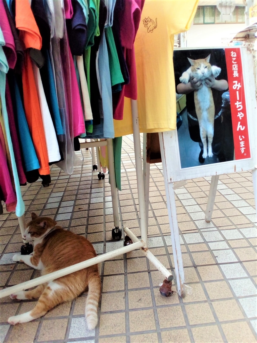 f:id:ryukyufun:20210209171715j:plain