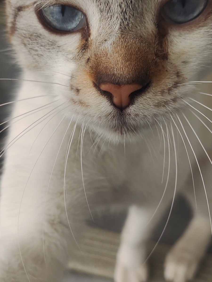 輪廻転生とは 一般の人気 最新記事を集めました はてな