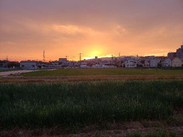 f:id:ryuneko7676:20200918002520j:image