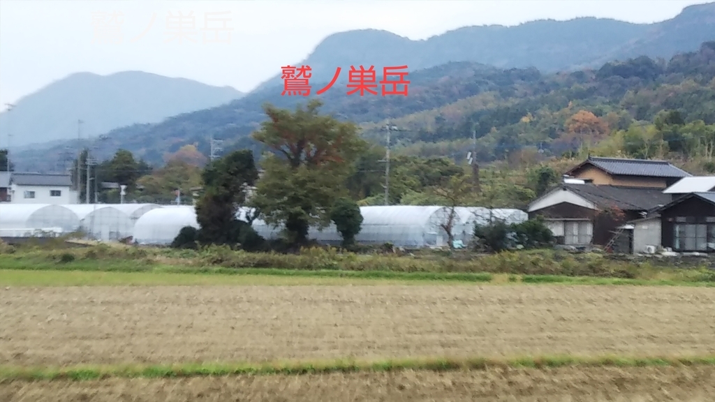 f:id:ryuryusinc:20181201120053j:plain