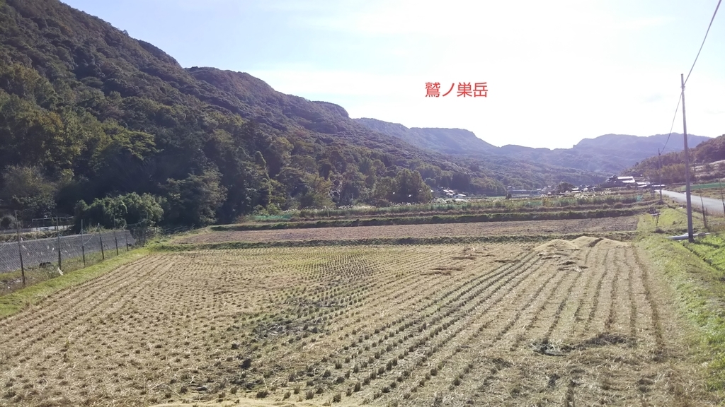 f:id:ryuryusinc:20181201121211j:plain