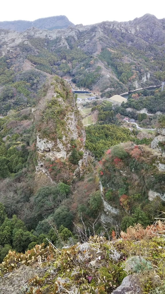 f:id:ryuryusinc:20181212212901j:plain