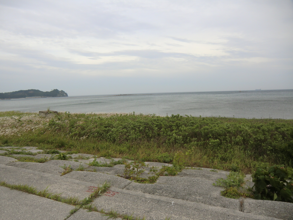 f:id:ryuryusinc:20190605095235j:plain