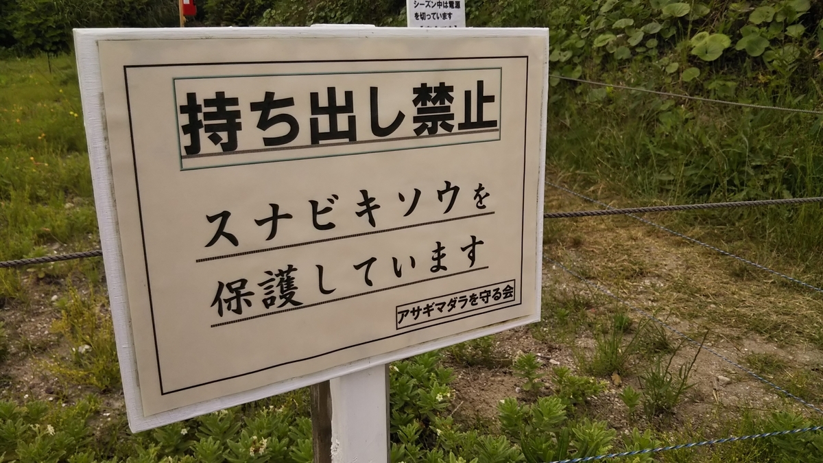 f:id:ryuryusinc:20190605103134j:plain