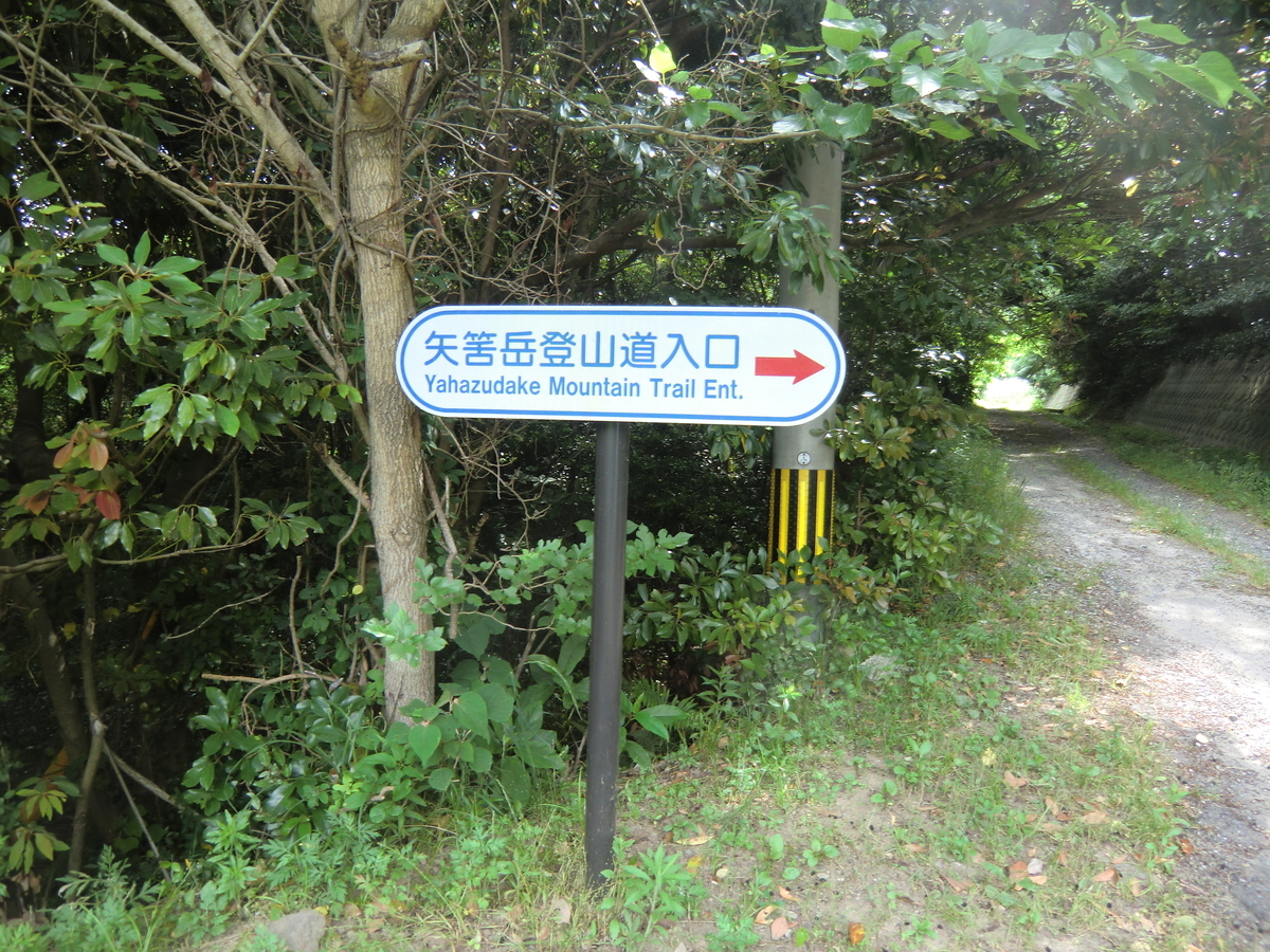f:id:ryuryusinc:20190605104835j:plain