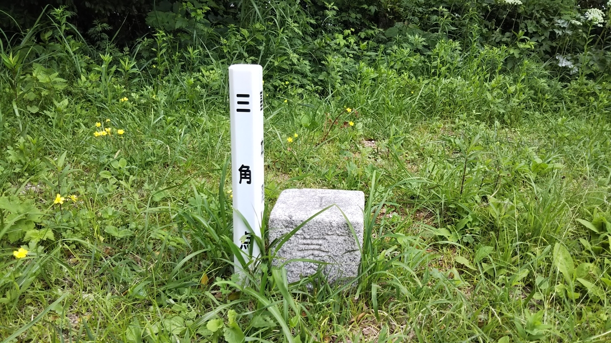 f:id:ryuryusinc:20190605105016j:plain