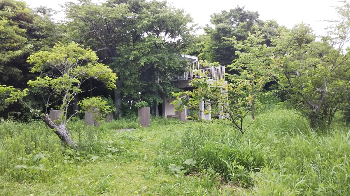 f:id:ryuryusinc:20190605105227j:plain