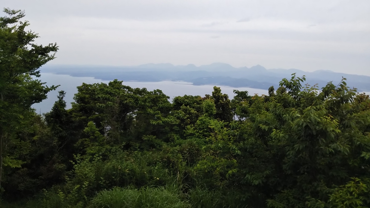 f:id:ryuryusinc:20190605105719j:plain