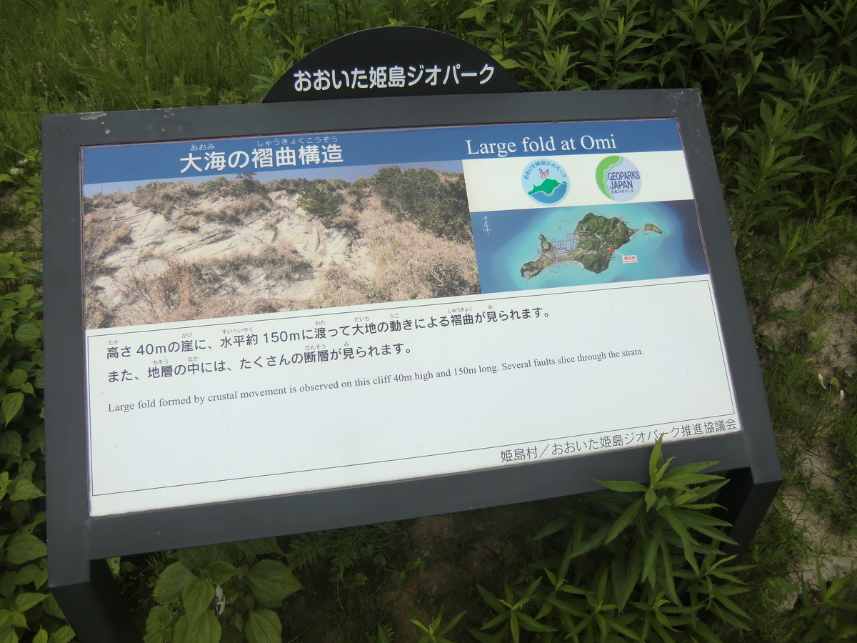 f:id:ryuryusinc:20190605110454j:plain
