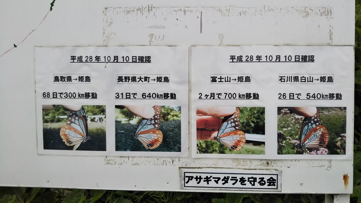 f:id:ryuryusinc:20190605133047j:plain