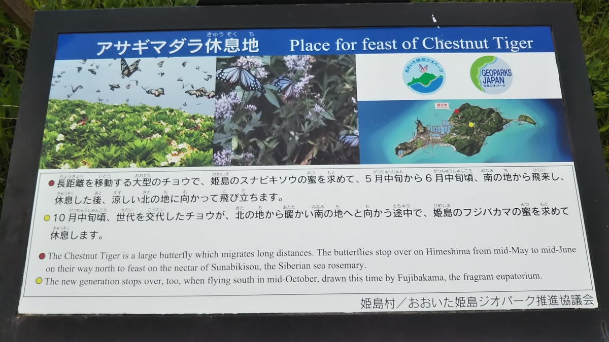 f:id:ryuryusinc:20190605133133j:plain