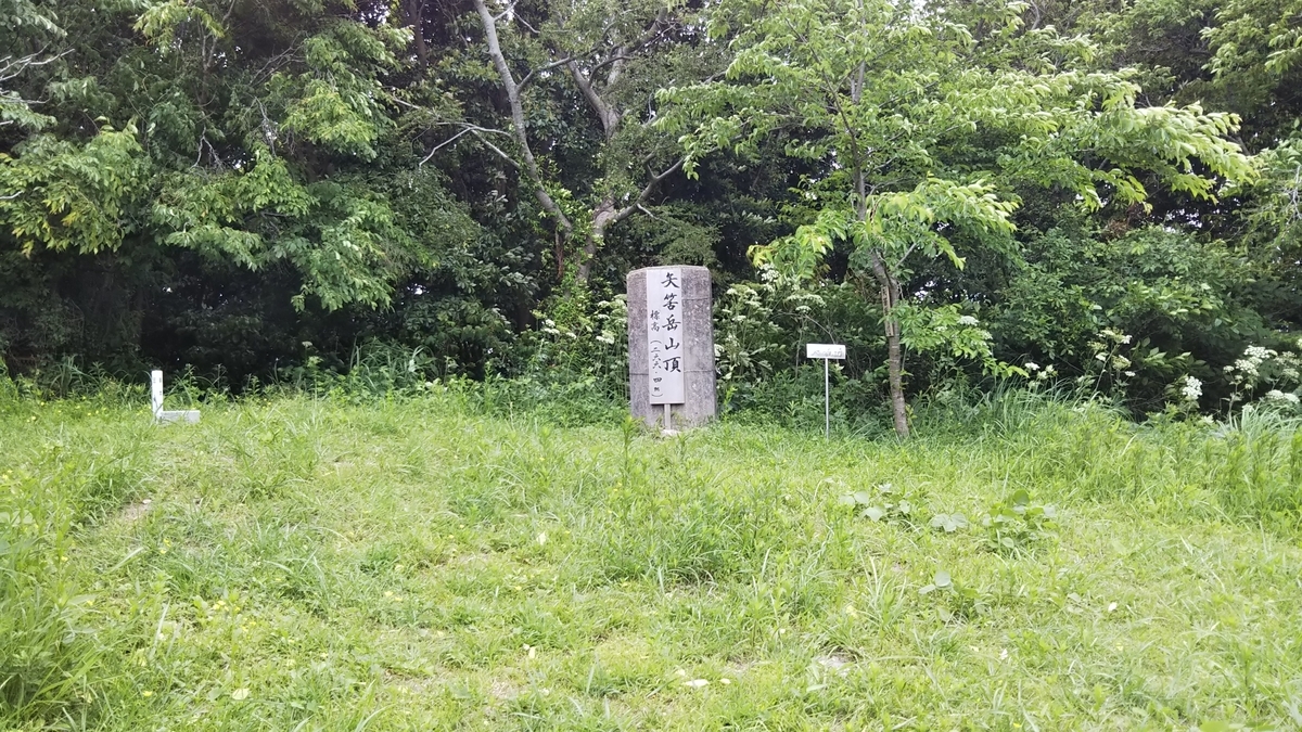 f:id:ryuryusinc:20190605133504j:plain