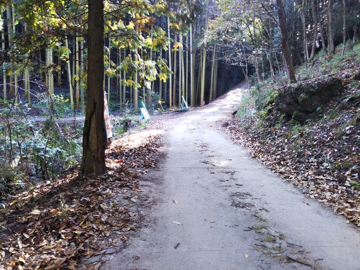 f:id:ryuryusinc:20191109211357j:plain