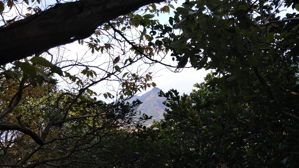 f:id:ryuryusinc:20191110085803j:plain
