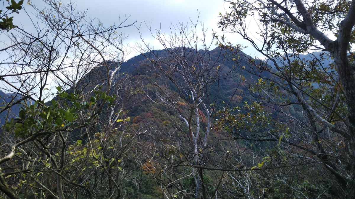 f:id:ryuryusinc:20191110093534j:plain