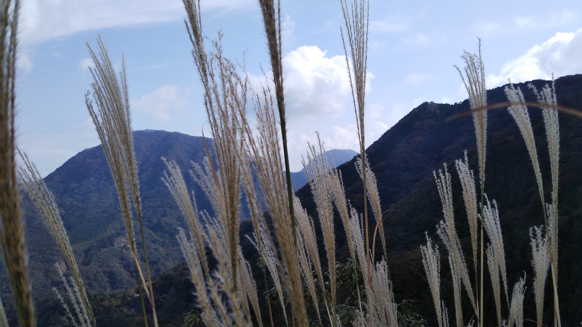 f:id:ryuryusinc:20191110094304j:plain