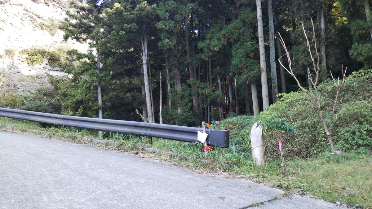f:id:ryuryusinc:20191110095445j:plain