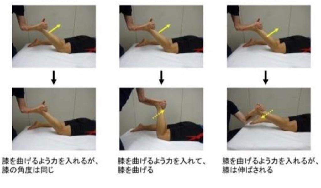 f:id:ryusan0418:20200708065450j:image