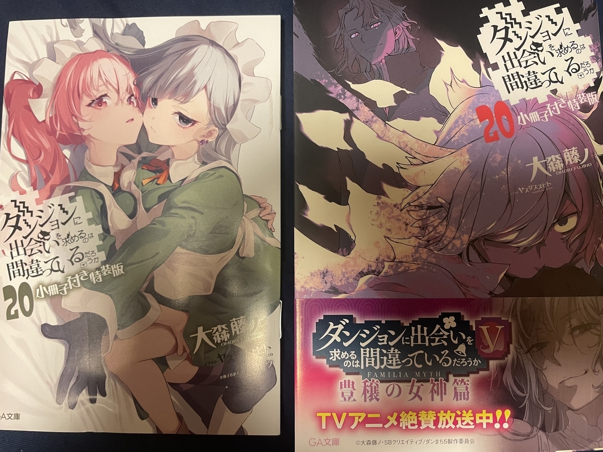 ダンまち小説1-20巻 全巻セット ダンまち 1巻〜20巻セット販売 小説 ダンまち 1巻〜20