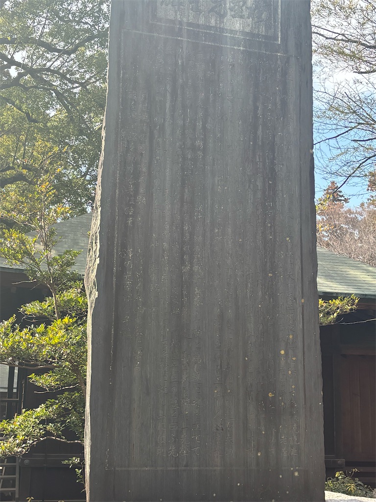 f:id:ryusei24:20260308224831j:image f:id:ryusei24:20260308224831j:image
