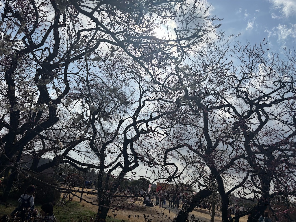 f:id:ryusei24:20260308224853j:image f:id:ryusei24:20260308224853j:image