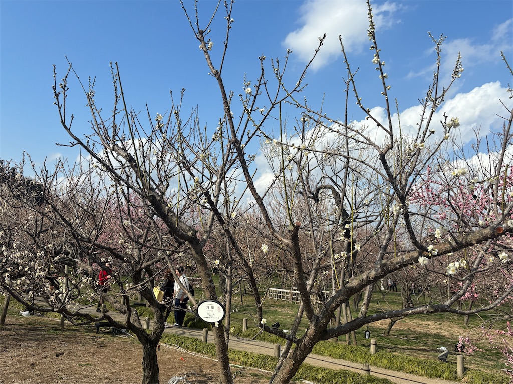 f:id:ryusei24:20260308224857j:image f:id:ryusei24:20260308224857j:image